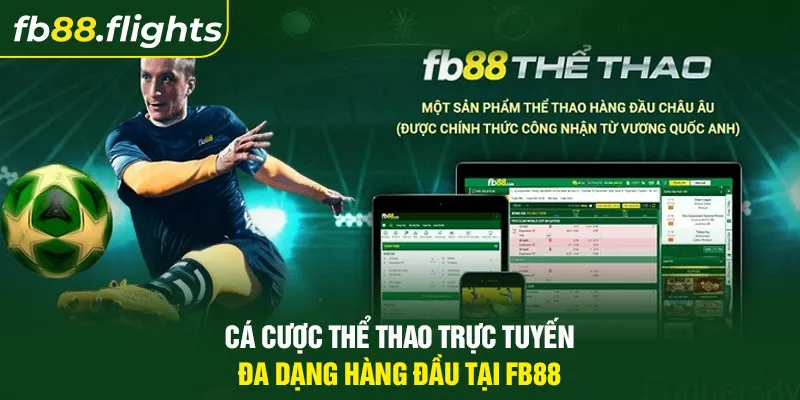 Cá cược thể thao trực tuyến đa dạng hàng đầu tại FB88