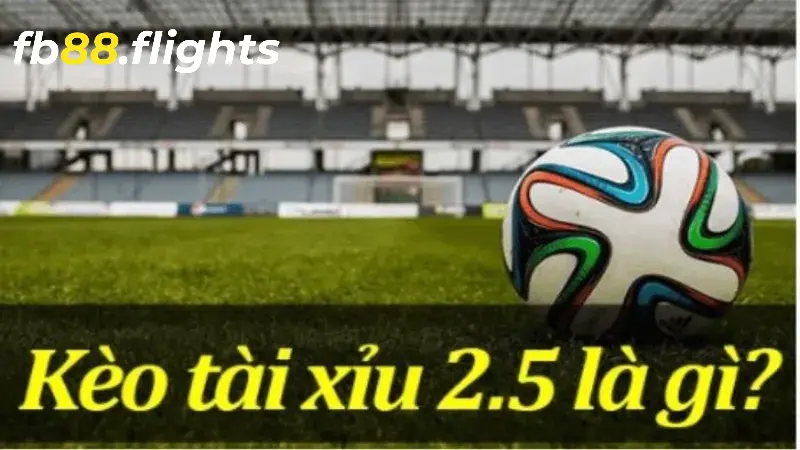 Tìm hiểu vài nét về tài 2.5 là gì?